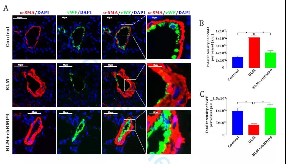 1604629844976262.jpg 1604629844976262.jpg