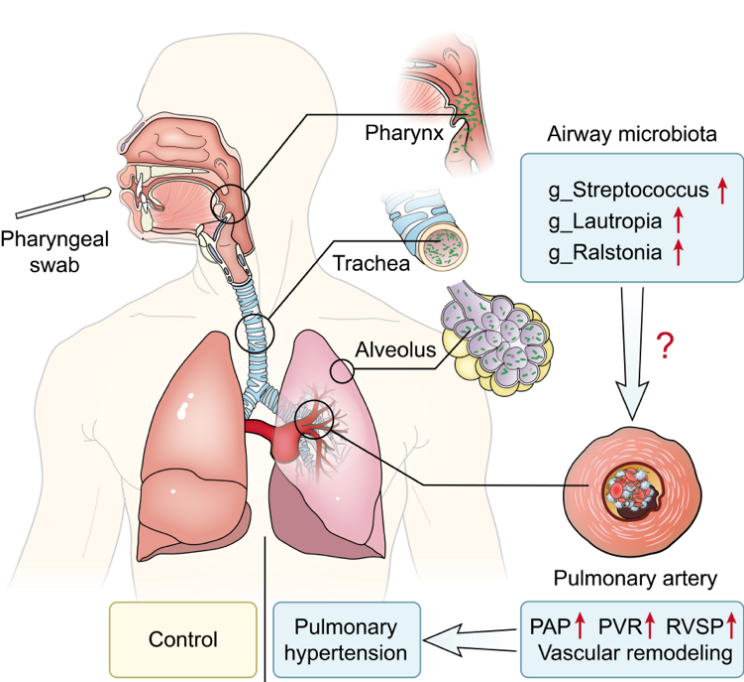 1608684175251649.png 1608684175251649.png