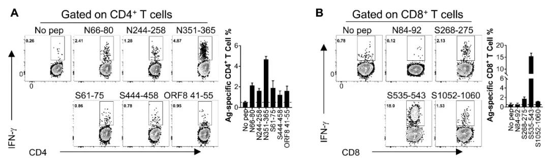 1611539728120785.jpg 1611539728120785.jpg