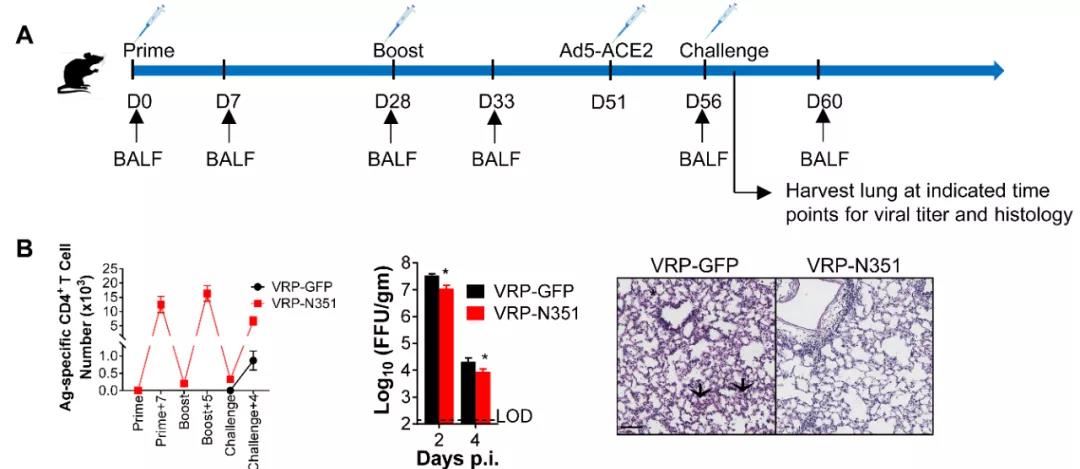 1611539777827931.jpg 1611539777827931.jpg