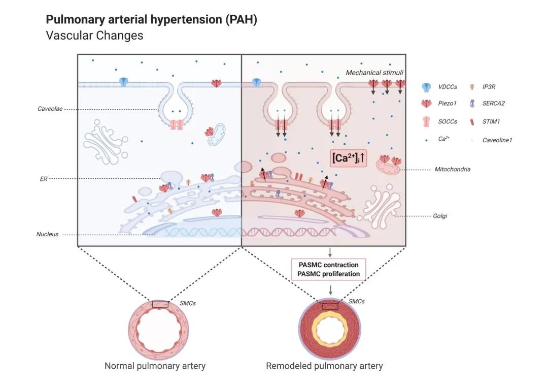 1618305336473995.jpg 1618305336473995.jpg