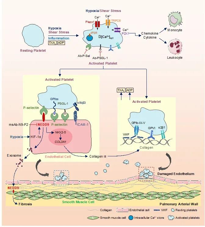 1618305441648273.jpg 1618305441648273.jpg