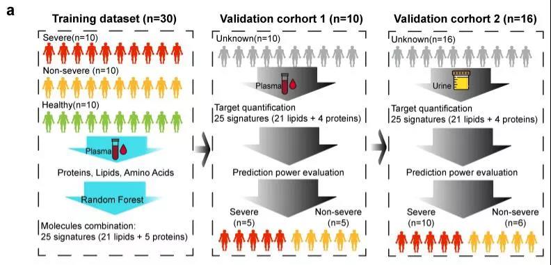 1618801808138626.jpg 1618801808138626.jpg