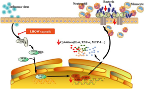 1626400575478491.png 1626400575478491.png