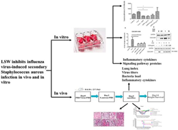 1626400587778122.png 1626400587778122.png