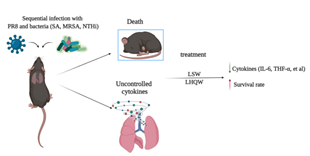 1626400597964250.png 1626400597964250.png