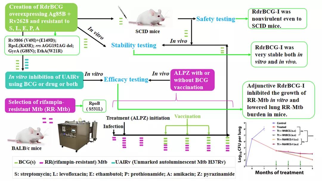 1629969390212947.jpg 1629969390212947.jpg