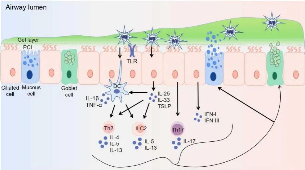 1633750908348048.jpg 1633750908348048.jpg