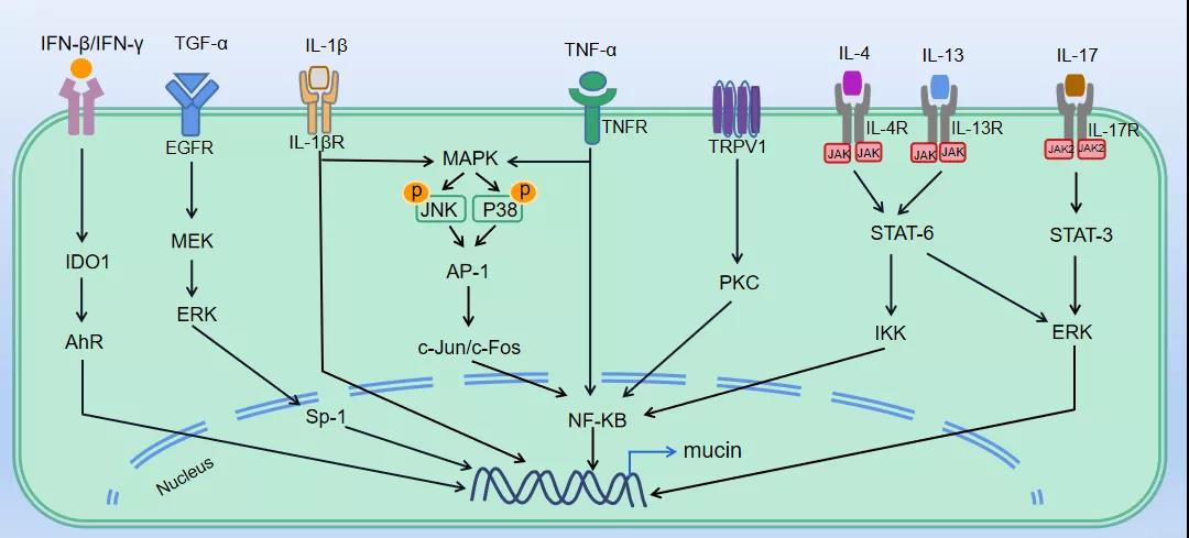 1633750928785048.jpg 1633750928785048.jpg
