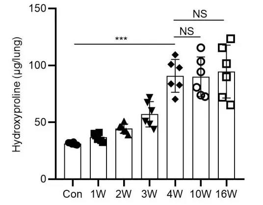 1634114079932604.jpg 1634114079932604.jpg