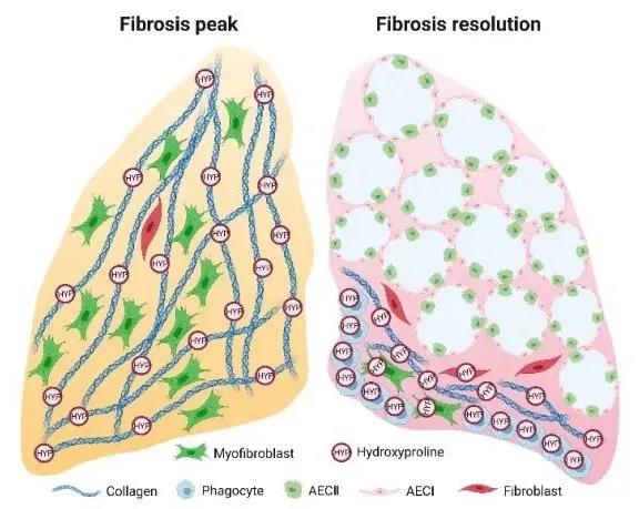 1634114109390975.jpg 1634114109390975.jpg