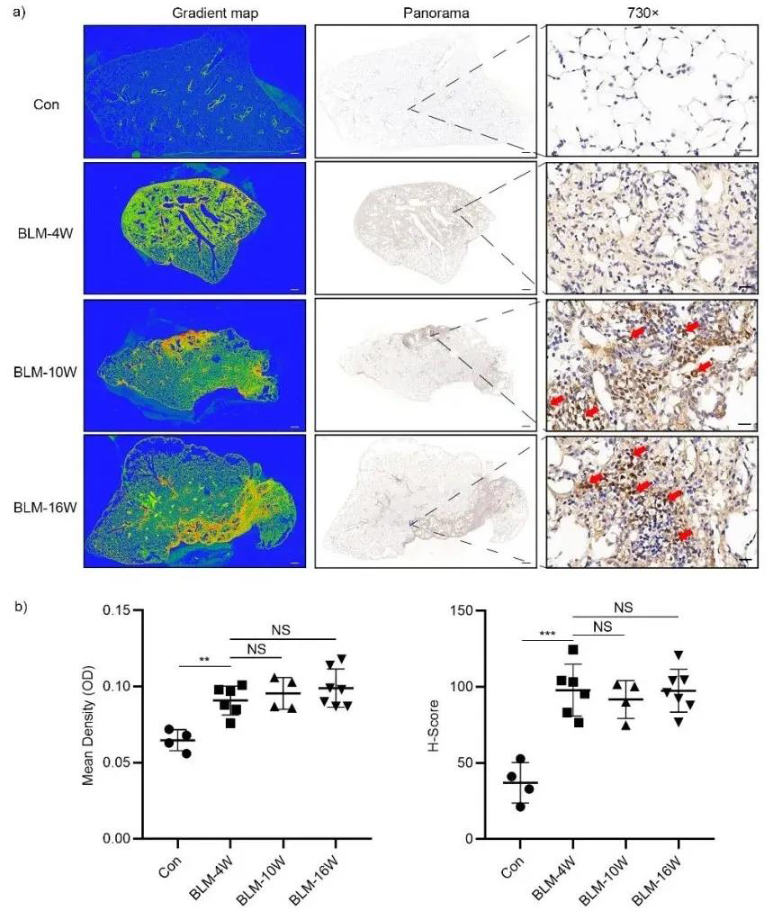 1634114160308197.jpg 1634114160308197.jpg