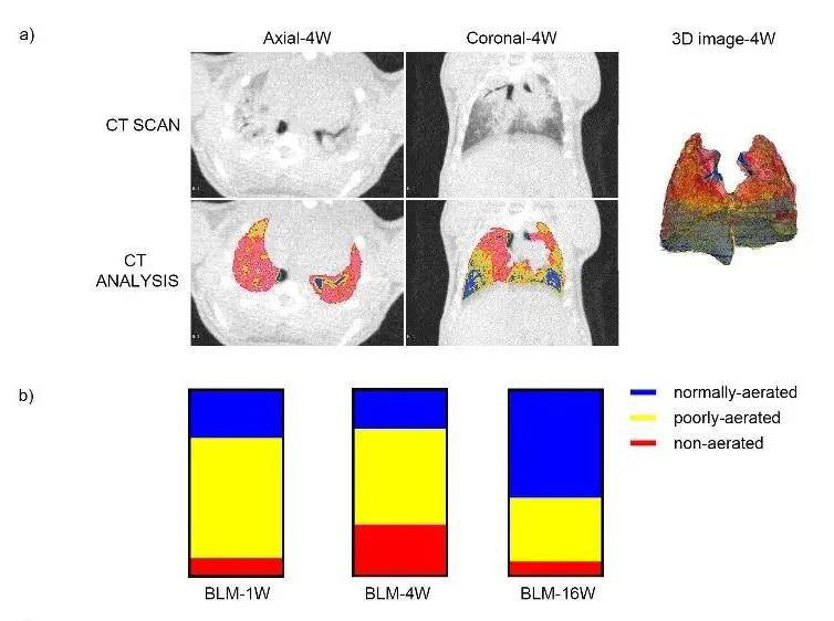 1634114198389051.jpg 1634114198389051.jpg