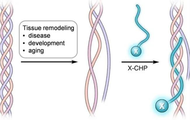 1634114214876222.jpg 1634114214876222.jpg