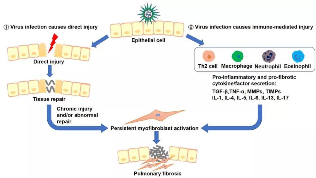 1639442551667631.jpg 1639442551667631.jpg