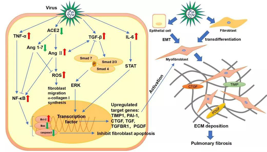 1639442617331775.jpg 1639442617331775.jpg
