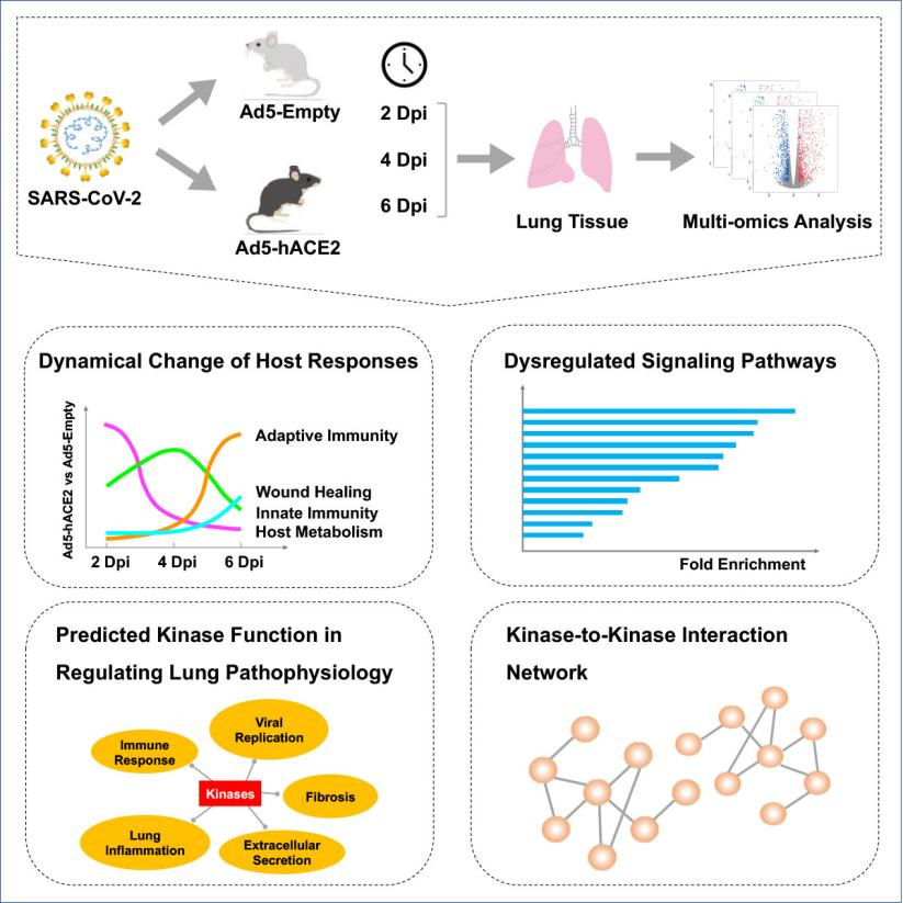 1646099964115535.png 1646099964115535.png