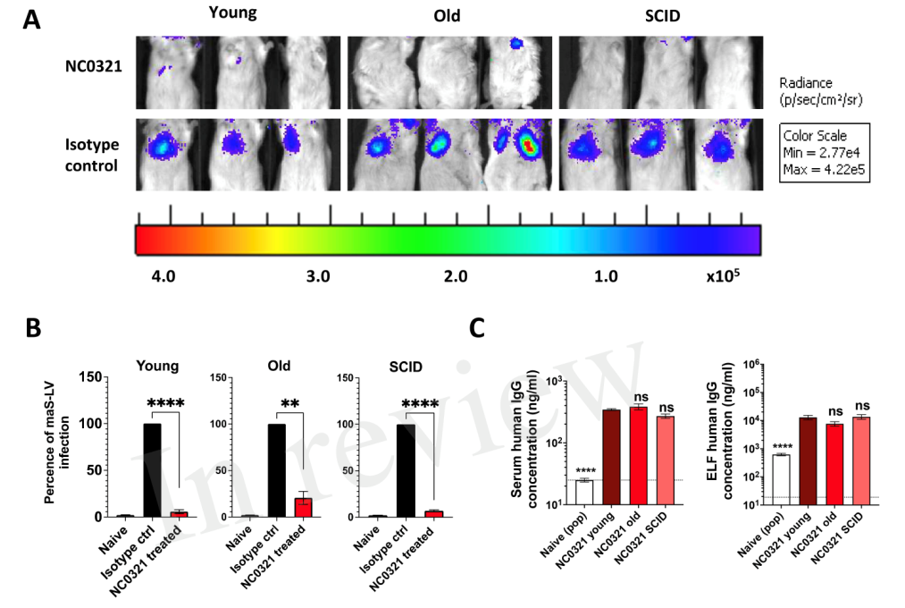 1651277920903111.png 1651277920903111.png