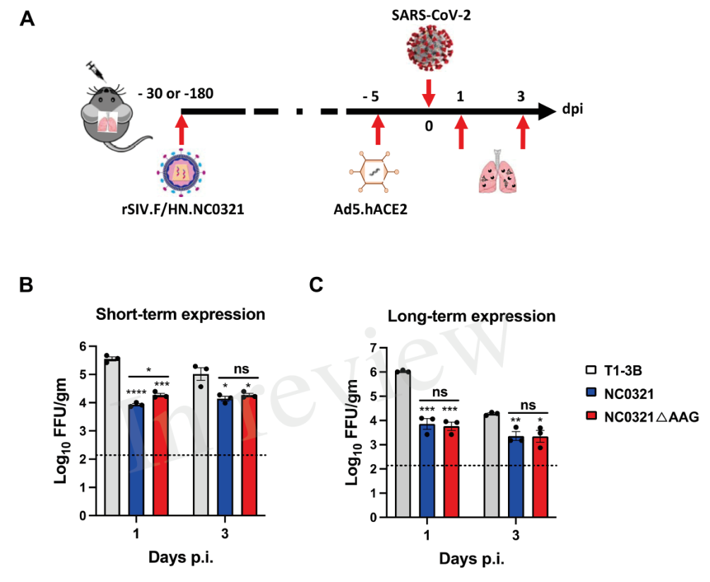 1651277942929130.png 1651277942929130.png