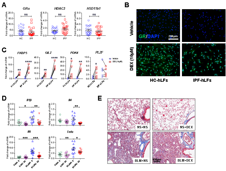 1654336688617681.png 1654336688617681.png