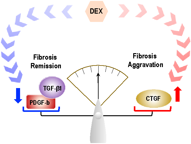 1654336736936026.png 1654336736936026.png