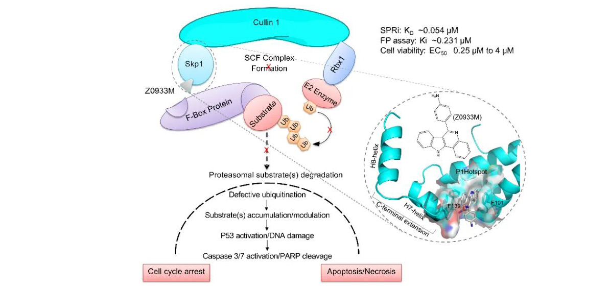 1660006095261038.jpg 1660006095261038.jpg