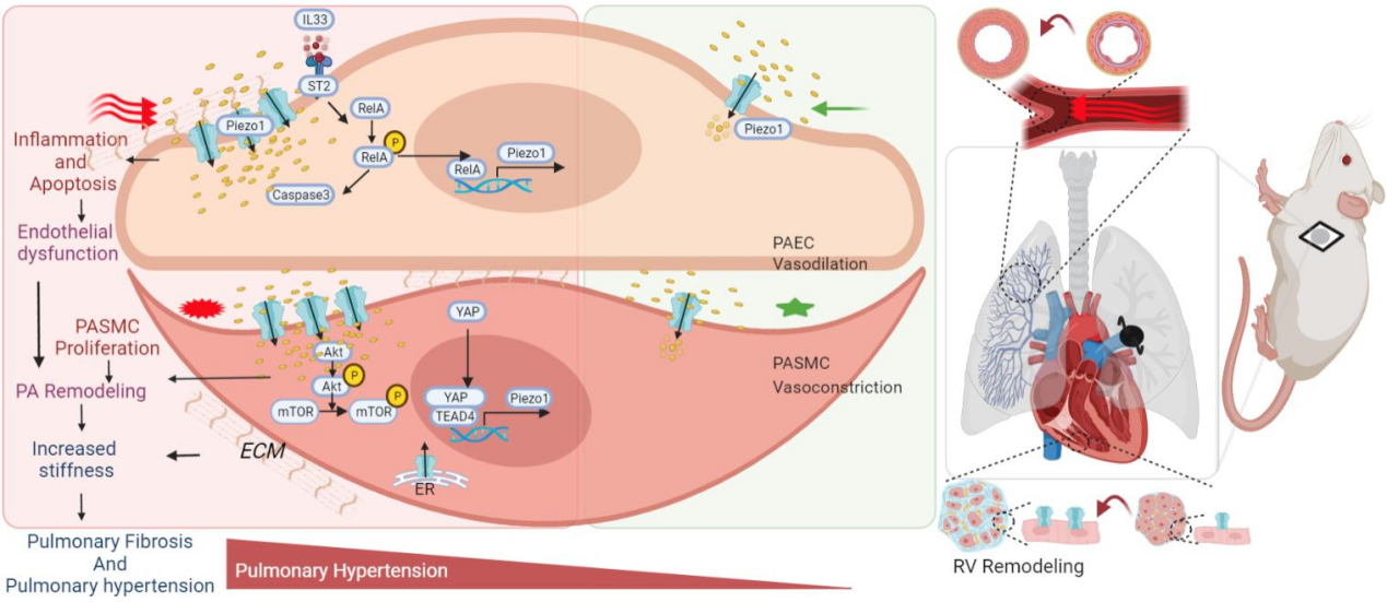 1660892275160885.png 1660892275160885.png