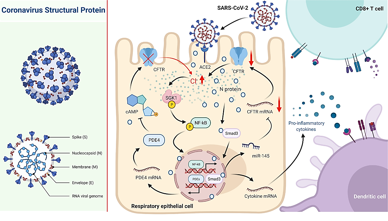 1661475868413629.png 1661475868413629.png