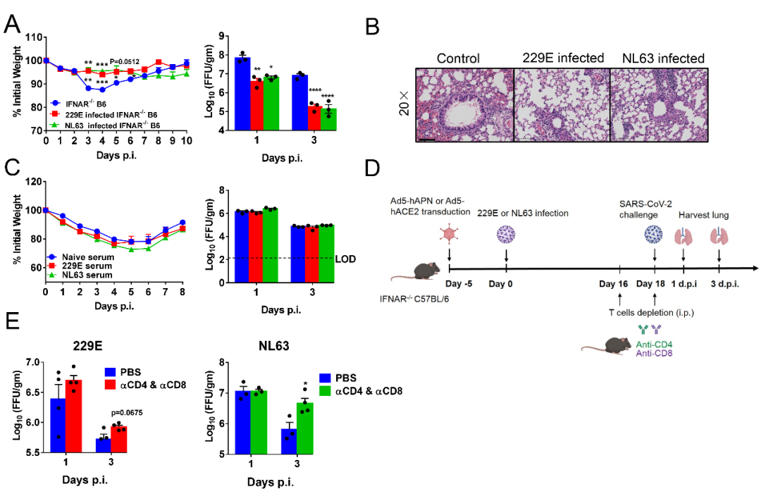 1675304077942482.png 1675304077942482.png