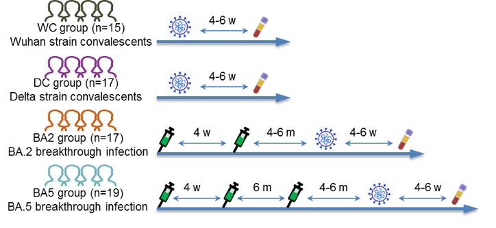 1679445338157654.png 1679445338157654.png