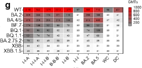 1679445794548900.jpg 2E9DA2289E474407B92011E658E4755E.jpg