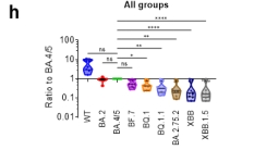 1679445799494444.jpg 412193BC1DA34C0F93263DA2416E5464.jpg