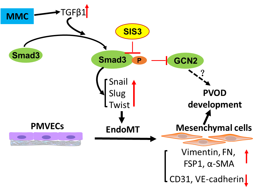 1604627887563415.png 1604627887563415.png