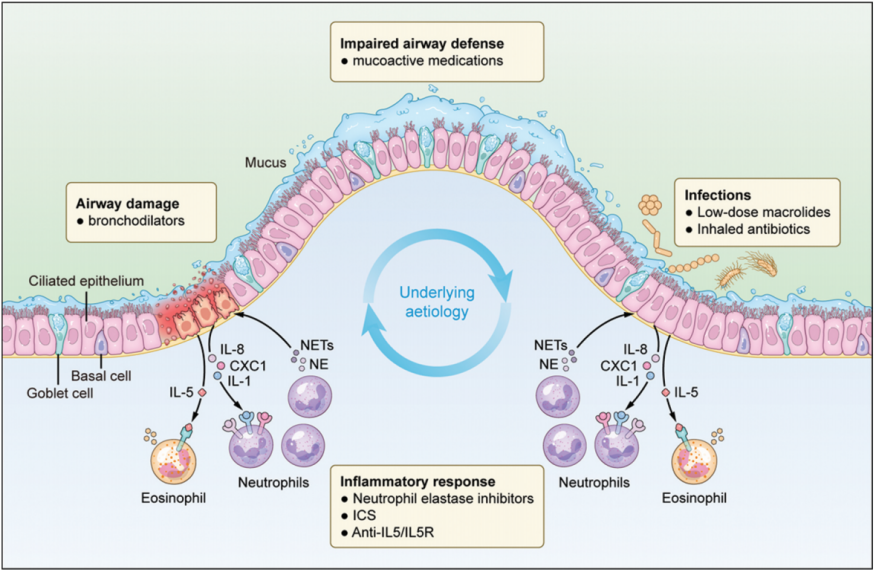 1692330328703205.png 1692330328703205.png