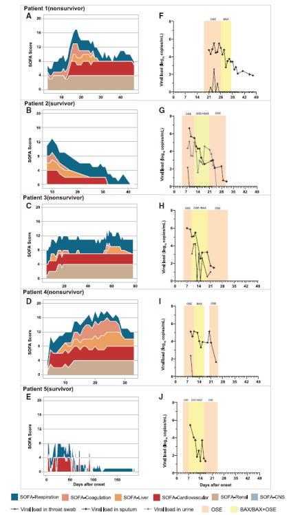 1702861755274165.png 1702861755274165.png