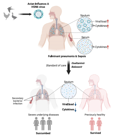 1702861769947818.png 1702861769947818.png