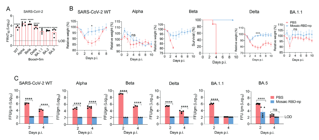 1703145483783573.png 1703145483783573.png