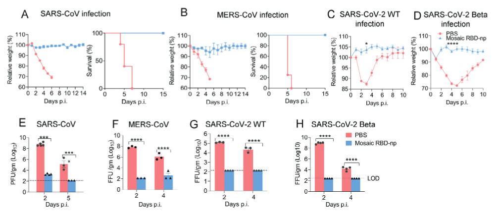 1703145499143401.png 1703145499143401.png