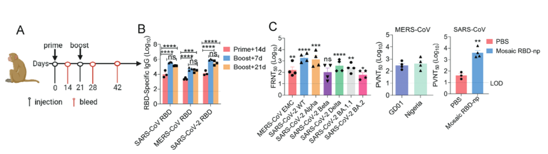 1703145512194576.png 1703145512194576.png