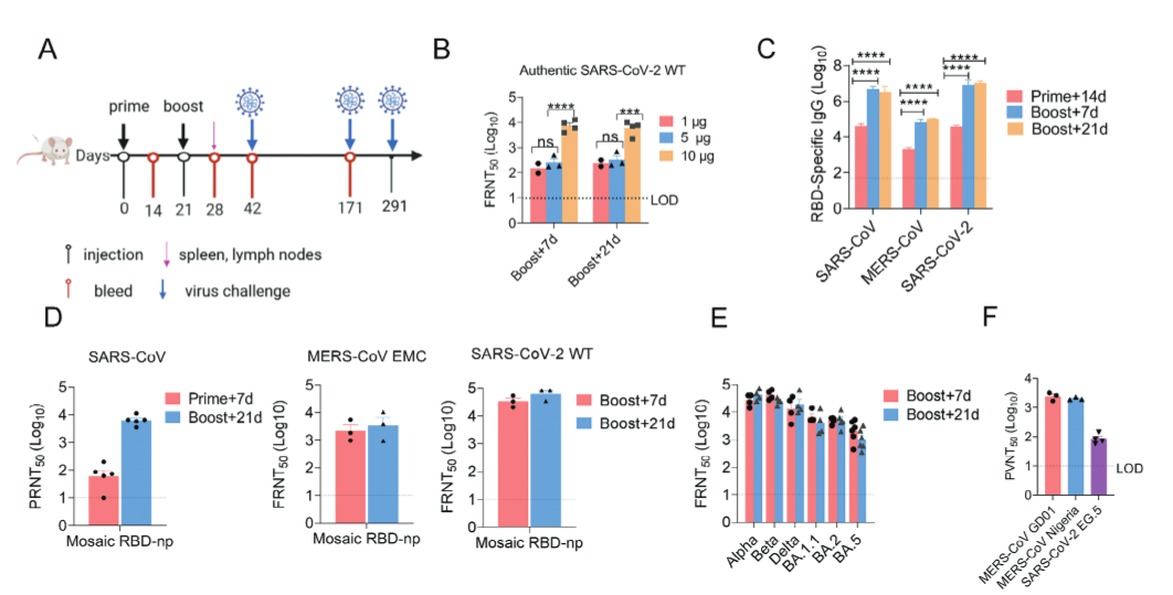 1703145534651030.png 1703145534651030.png