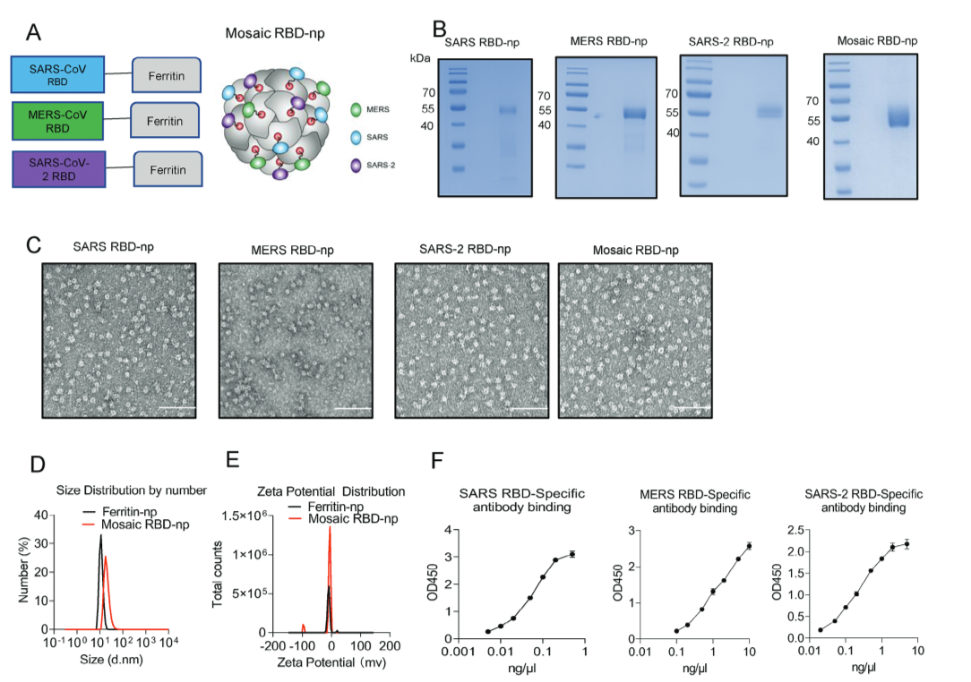 1703145548382546.png 1703145548382546.png