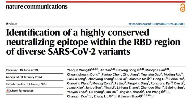 1707270439766052.jpg 1707270439766052.jpg