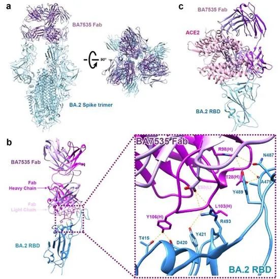 1707270483312831.jpg 1707270483312831.jpg