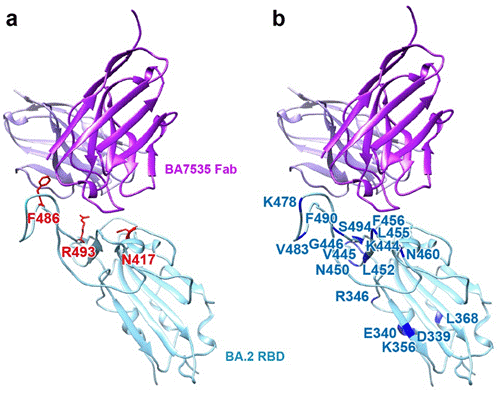 1707270495539734.png 1707270495539734.png