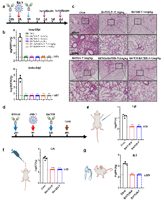 1707270542498441.png 1707270542498441.png