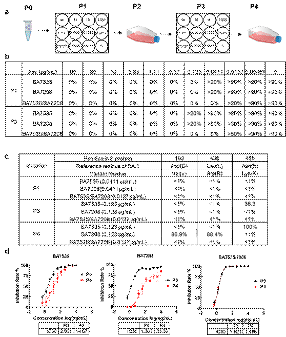 1707270557972491.png 1707270557972491.png