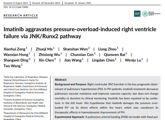 1740622810159832.png 1740622810159832.png