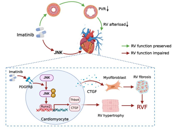 1740622875374703.png 1740622875374703.png