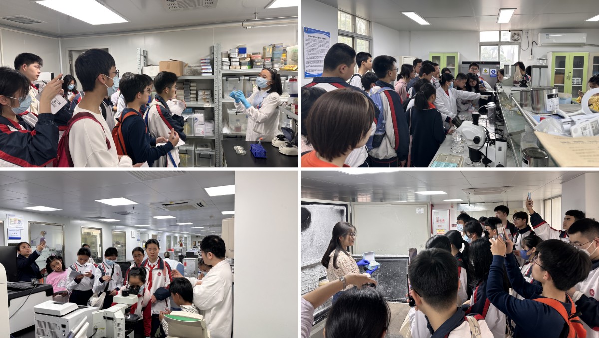 1741049719108516.jpg 1741049719108516.jpg