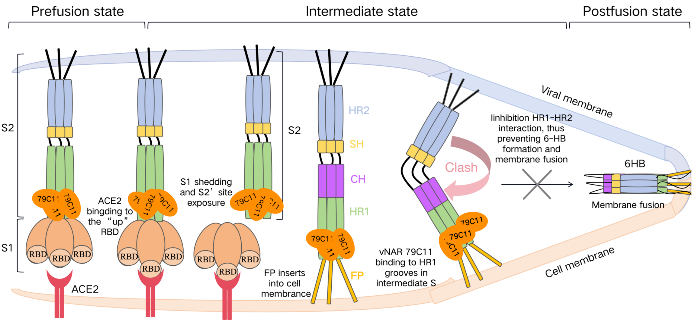 1741166370290102.png 1741166370290102.png